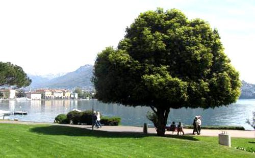 Dall'altra parte del lago di Lugano si trova il nostro residence per l'affitto di appartamenti e camere